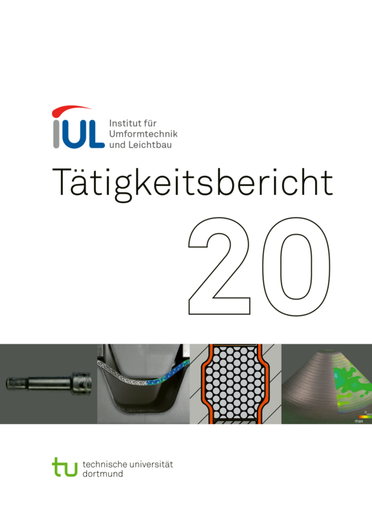 Activity Report 2020 Cover of the activity report for 2020