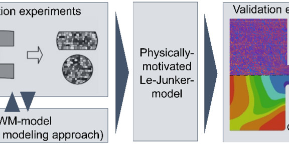 Schematic workflow of the model development